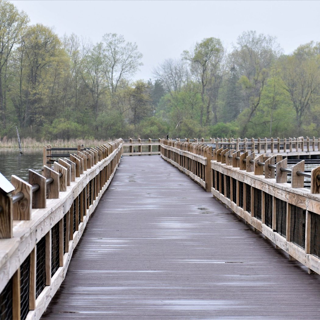 Pickerel Lake Park 1
